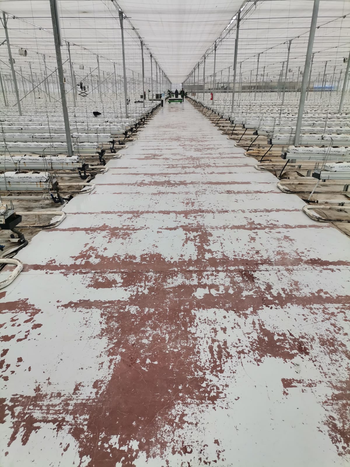 WhatsApp Image 2025-02-27 at 14.40.05_af4ff264