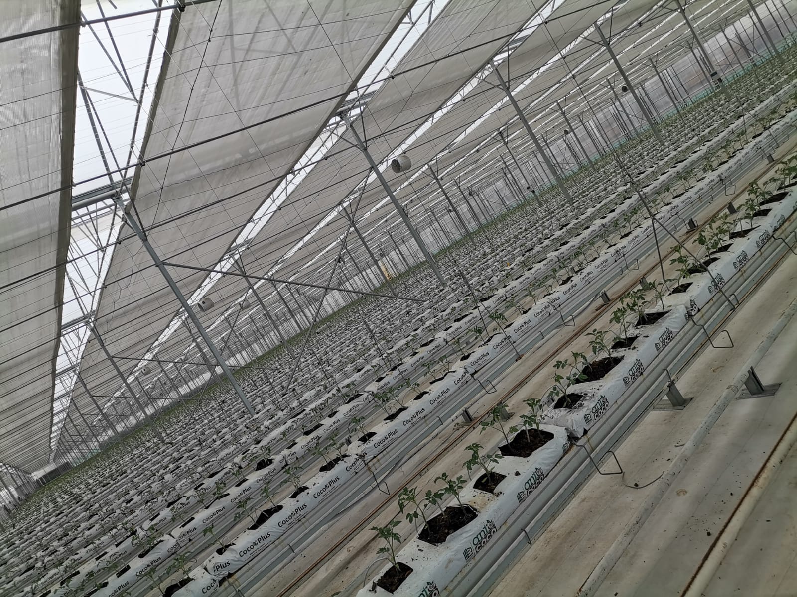 WhatsApp Image 2025-02-27 at 14.40.12_9043b0b0