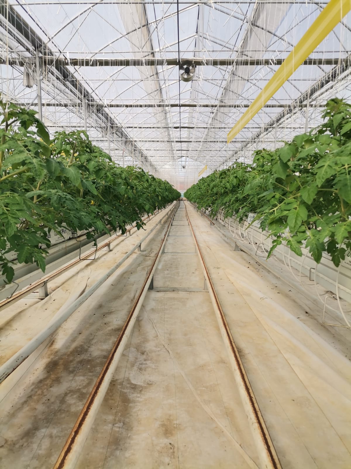 WhatsApp Image 2025-02-27 at 14.40.13_0abe6240