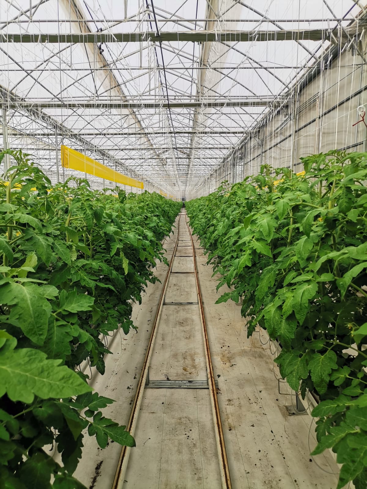 WhatsApp Image 2025-02-27 at 14.40.15_077dd61b