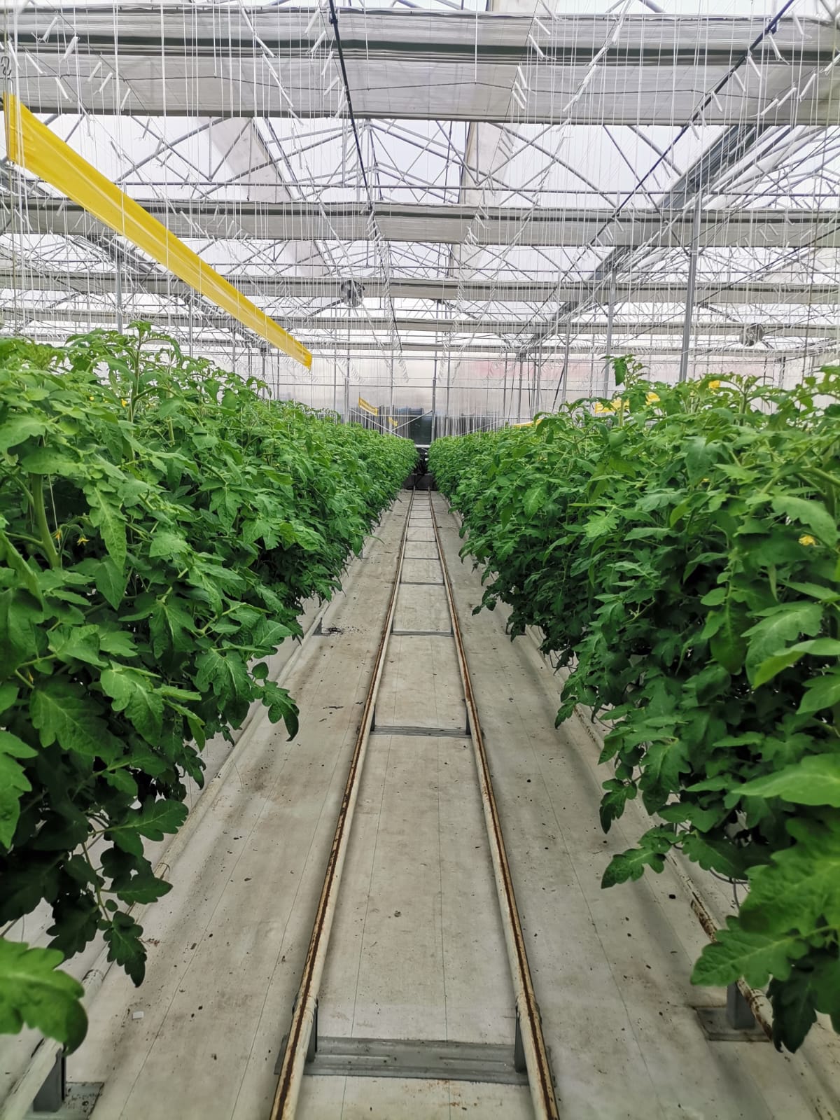 WhatsApp Image 2025-02-27 at 14.40.16_97686a5e