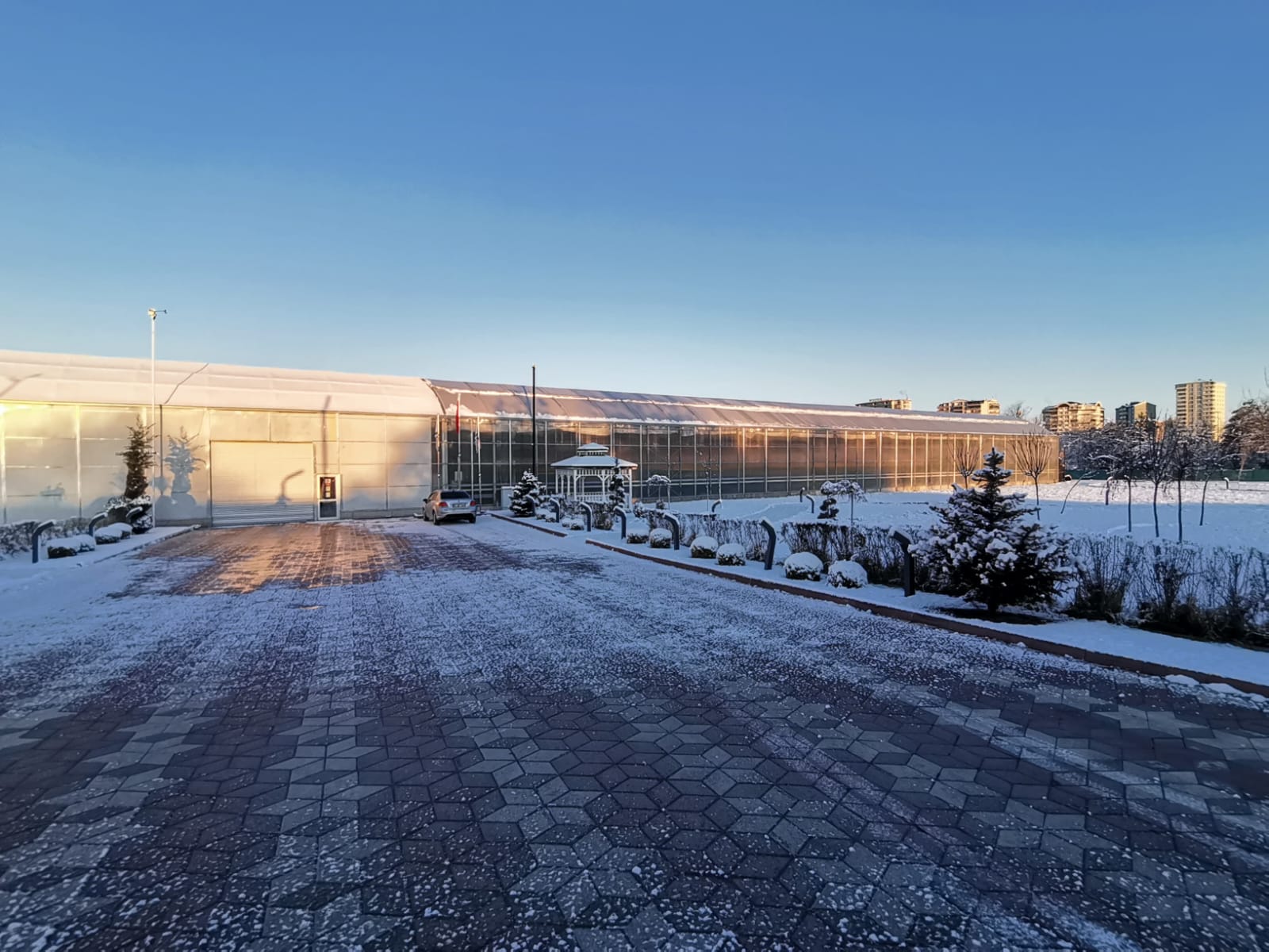 WhatsApp Image 2025-02-27 at 14.40.18_1a3745d9